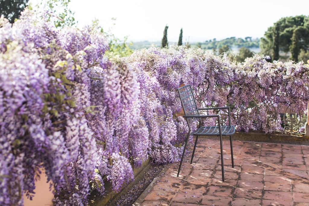 Villa Loggio Winery And Boutique Hotel Cortona Exterior photo