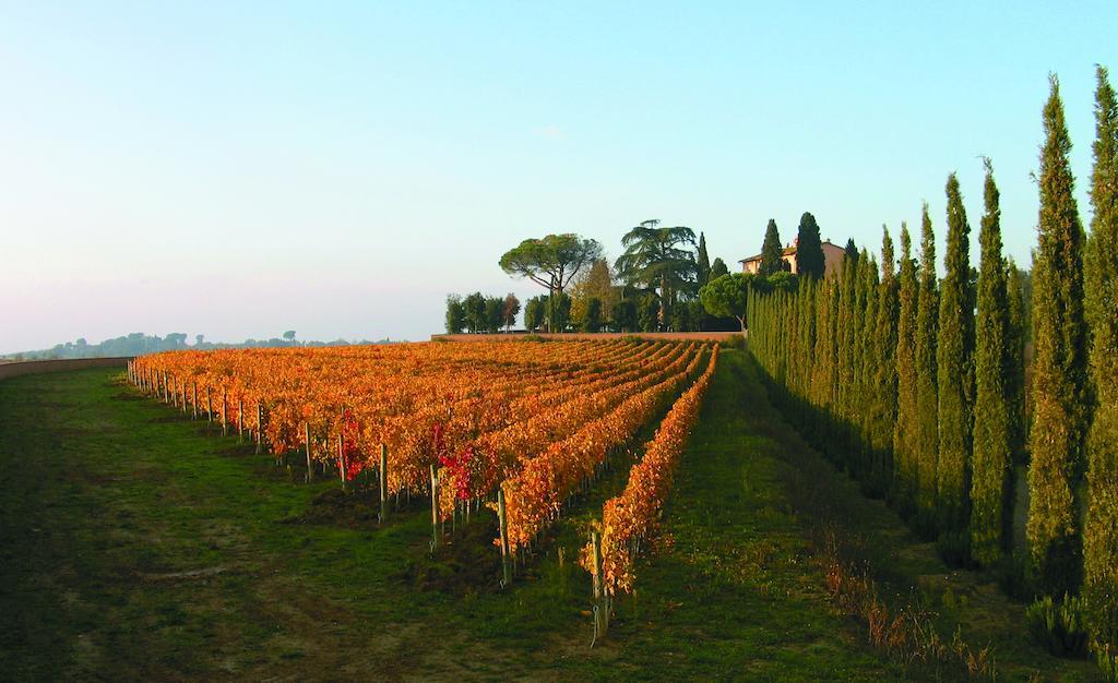 Villa Loggio Winery And Boutique Hotel Cortona Exterior photo